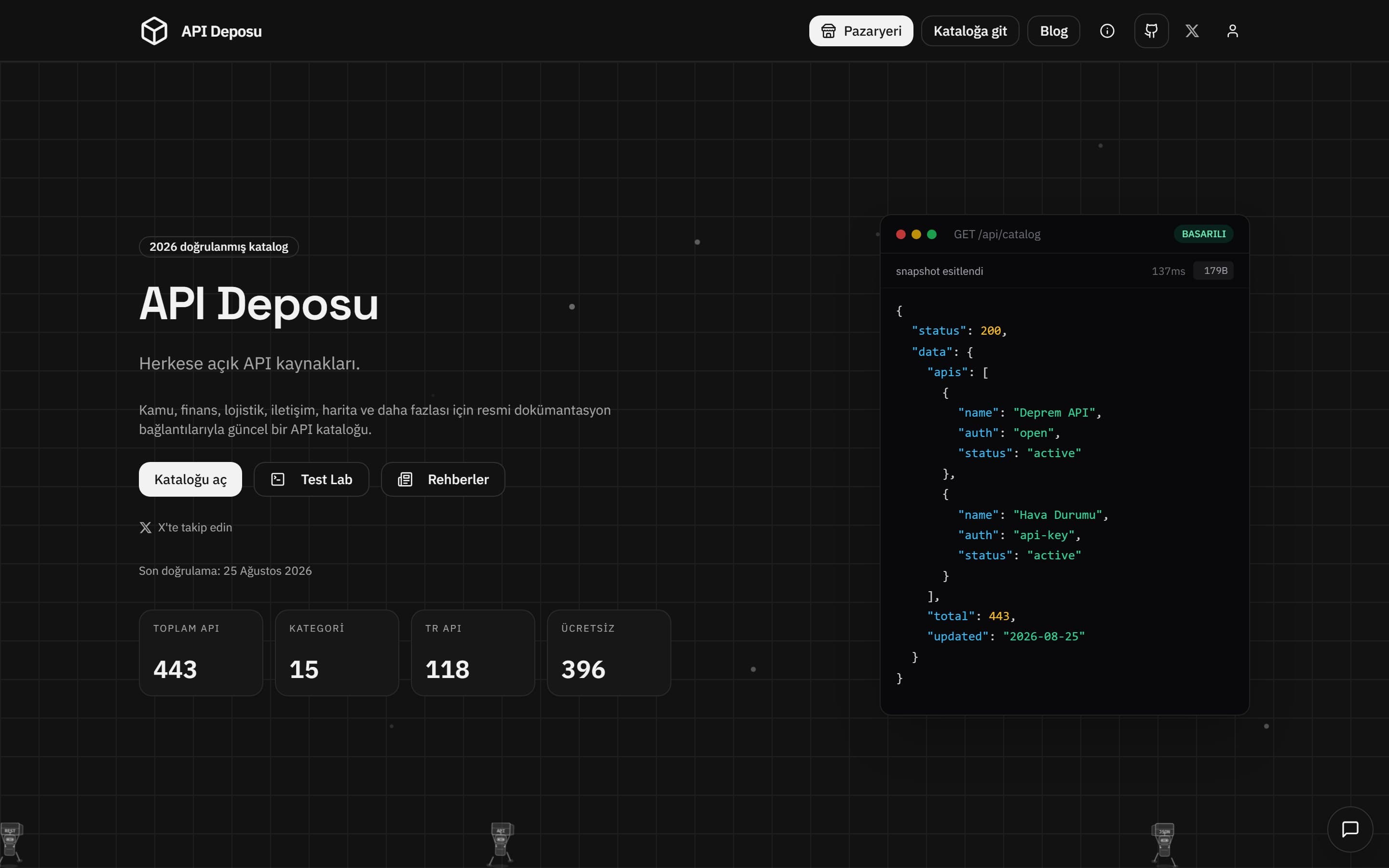 API Deposu ana sayfası: katalog istatistikleri ve canlı API yanıtı örneği